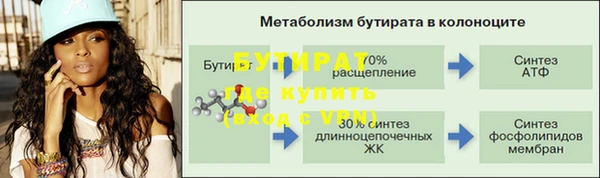 индика Богородицк